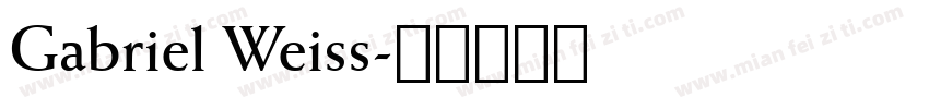 Gabriel Weiss字体转换